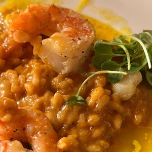 Risotto de Crevettes et petites Saint-Jacques au Safran