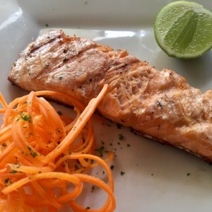 Salmon 