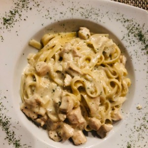 Fetuchinni Alfredo con Pollo