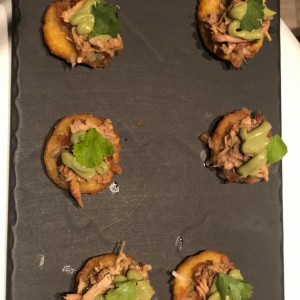 cochinita pibil /tortilliaa de maiz 