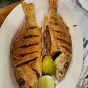 Pargo frito