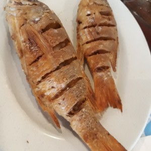 Pescado frito