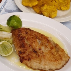 Corvina Jimmy