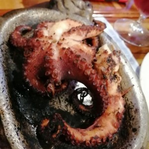 pulpo