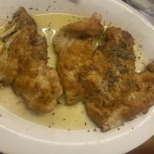 Pollo