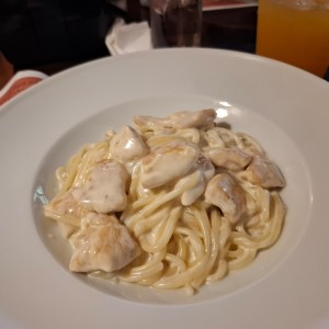 Pasta con Pollo en salsa 4 Quesos