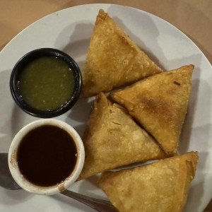 Meat Appetizers - Samosas de Pollo