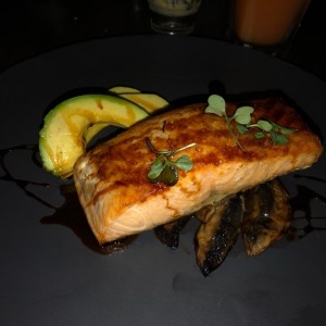 salmon 