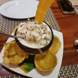 ceviche 