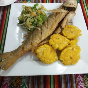 corvina frita 