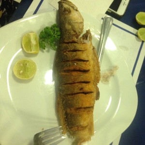 corvina frita