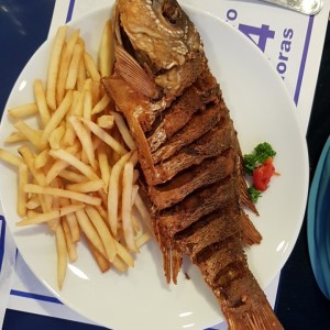 pargo frito