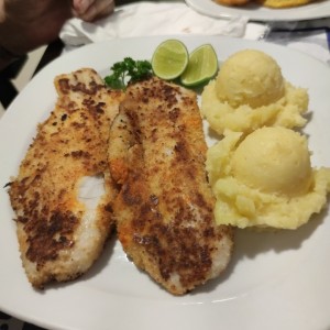 Filete de Corvina al Ajillo