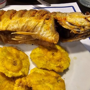 Corvina frita entera 