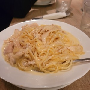 Pastas Especialidades - Fettucine Pollo Alfredo