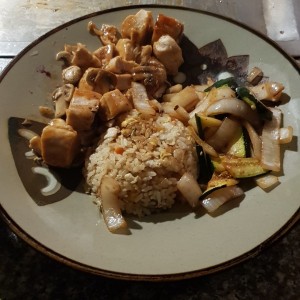 Teriyaki Chicken + Arroz Frito