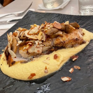 Corvina (8 Oz) con Hummus, almendras y hongos