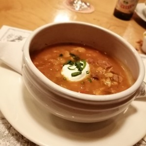 Sopa de carne y pollo rusa