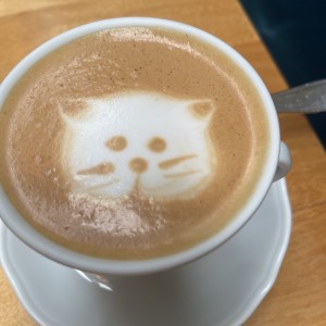 Cafe gato 