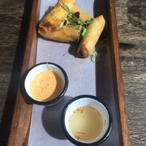 duck and shrimp spring rolls